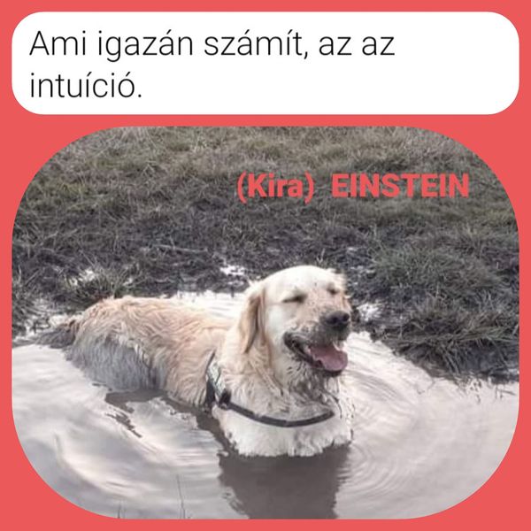 Kira Einstein 😊- Ami igazán számít, az az intuició… 
