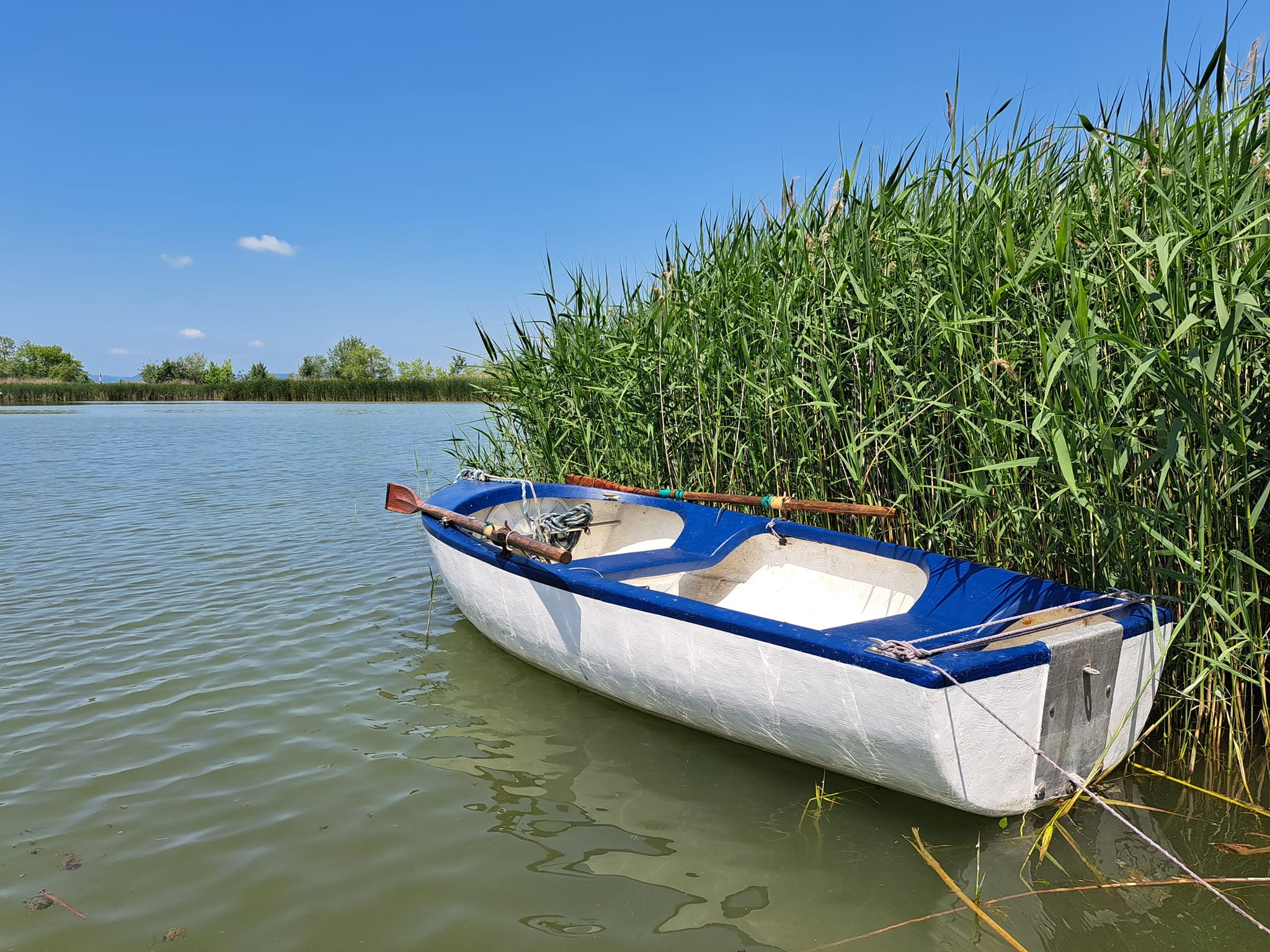 Család, Szeretet – Vitorlákat Fel!
