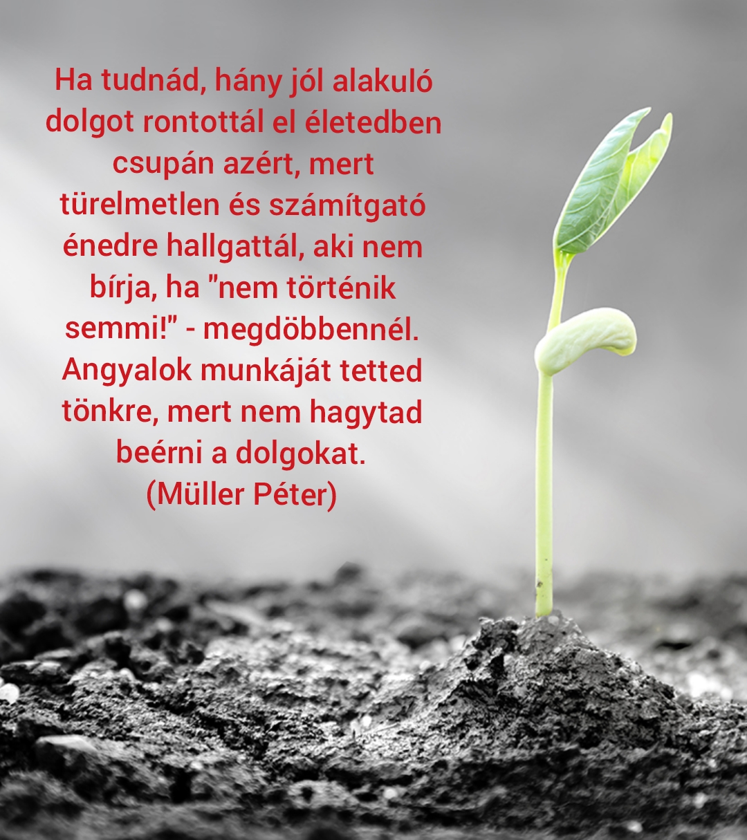 Problémamegoldás, priorizálás – Másnak is hagyni kell feladatokat a fejlődésre… ami az enyém, az pedig meg fog várni 😊
